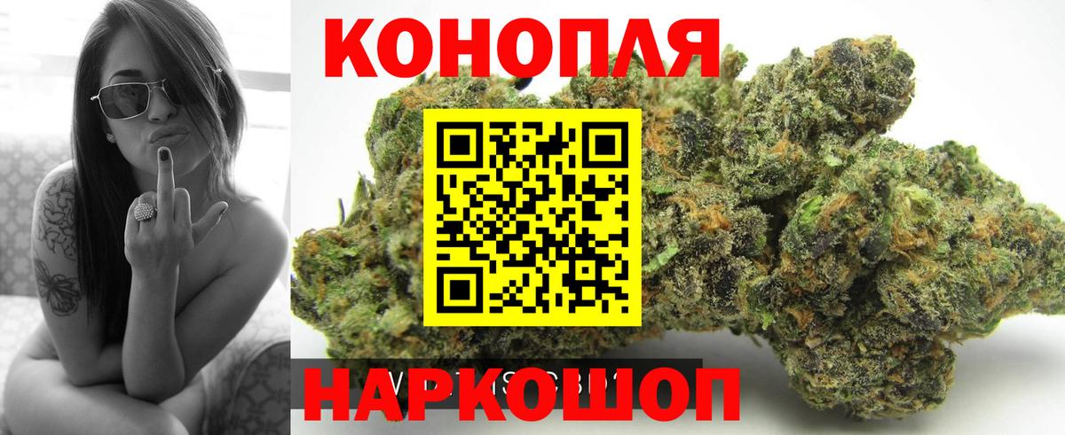 Шишки марихуана семена Тельмана